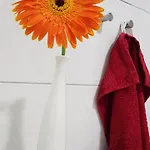 Galeria Nura Apartamento Mostar