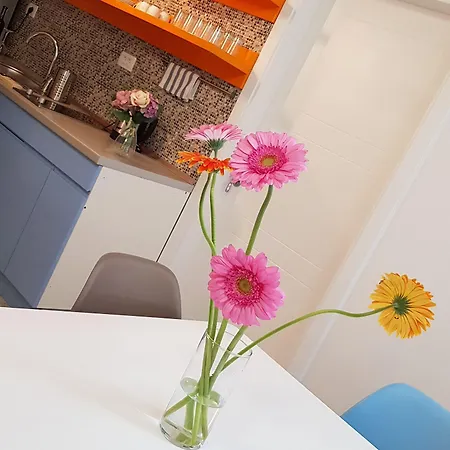 Galeria Nura Appartement *