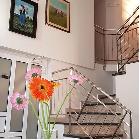 Apartmán Galeria Nura