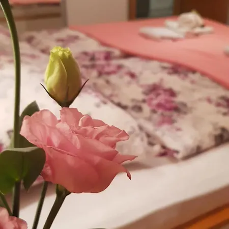 Galeria Nura Apartmán Mostar